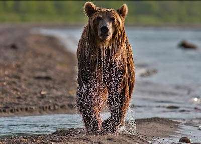 el agua moja